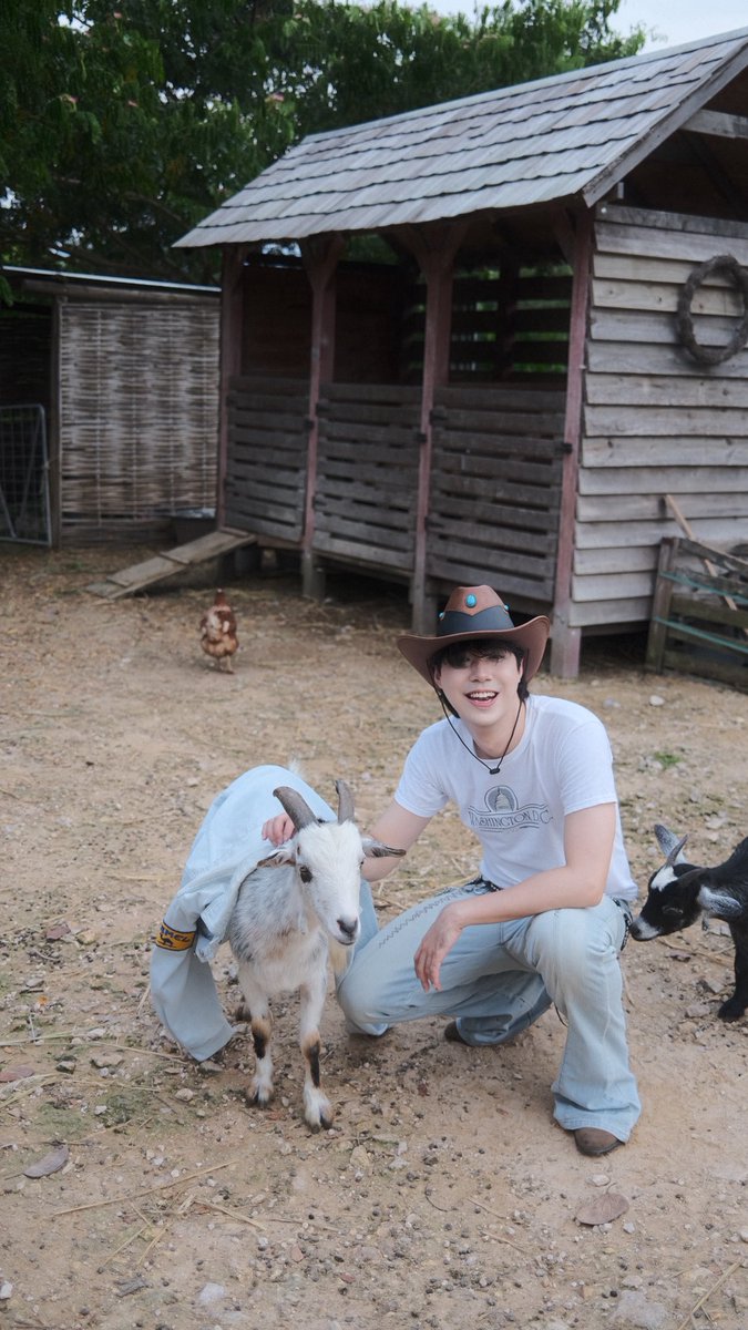 เอเคเอไอซ์เอซ tweet media