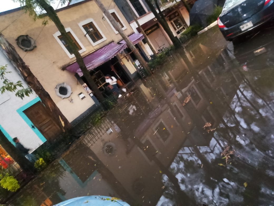 En zona centro de #coyoacan, perdimos varios árboles 🌳calles y condominios con inundación, fallas de luz y fugas de gas derivado de lo anterior. Tantas medidas preventivas por realizar y sobre todo ampliar la difusión de a quién acudir para cada emergencia #GestionDeRiesgos#cdmx