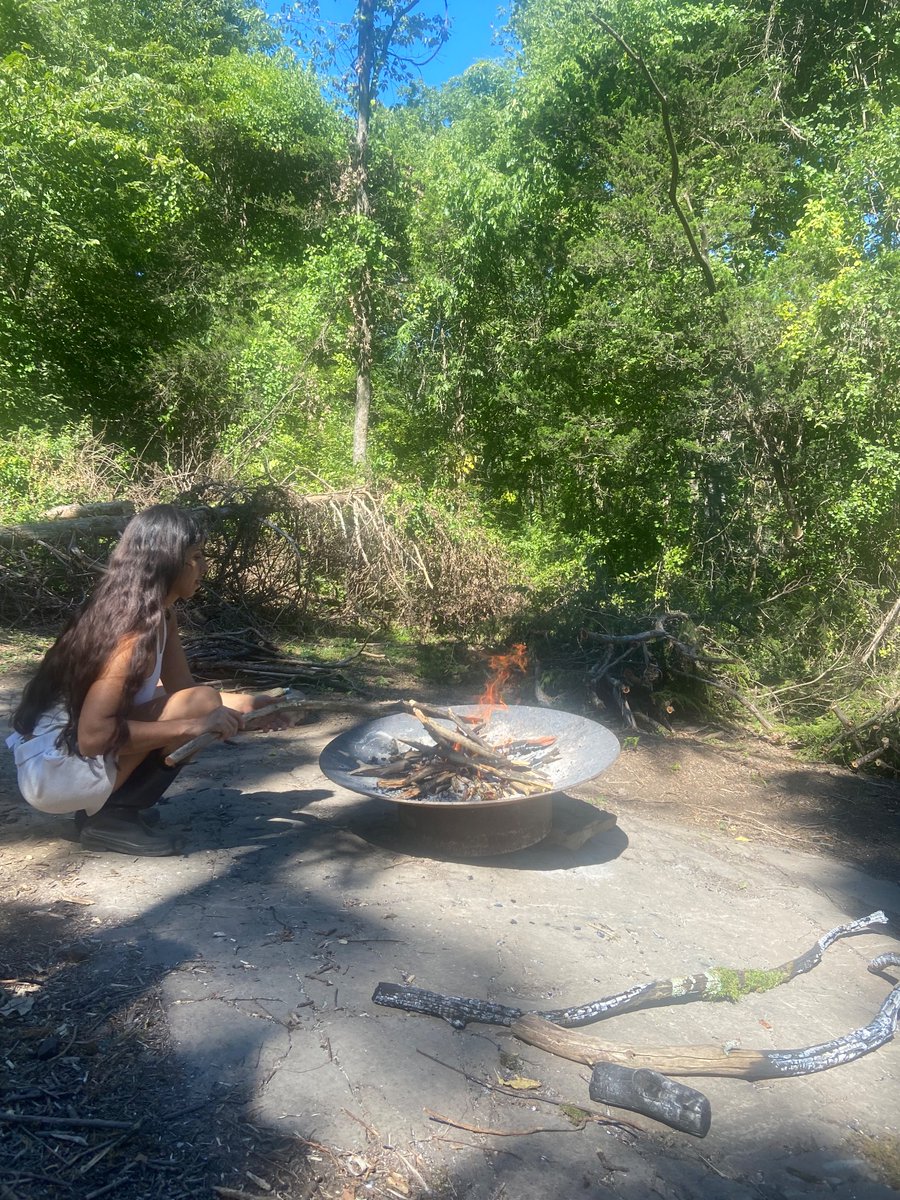 LetterZe's tweet image. I met my first dragon