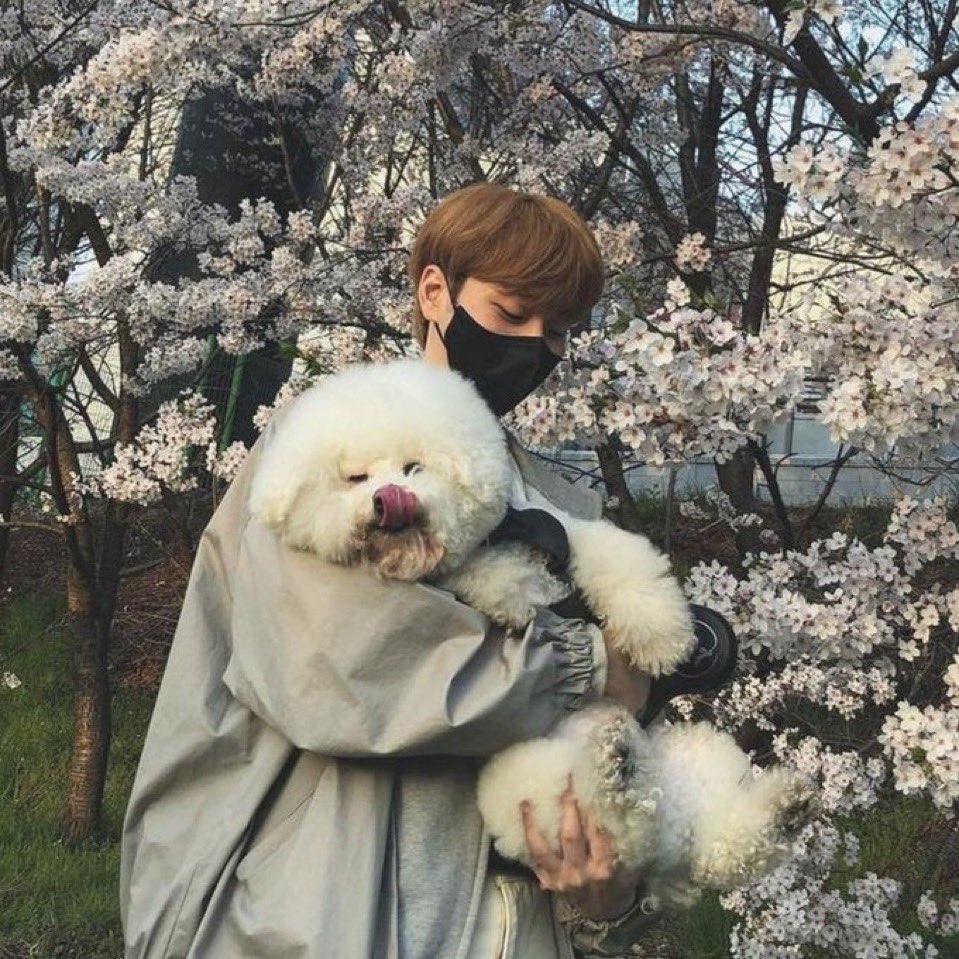 oursynth's tweet image. he loves this doggie so much we are willingly overlooking the fact it’s a person