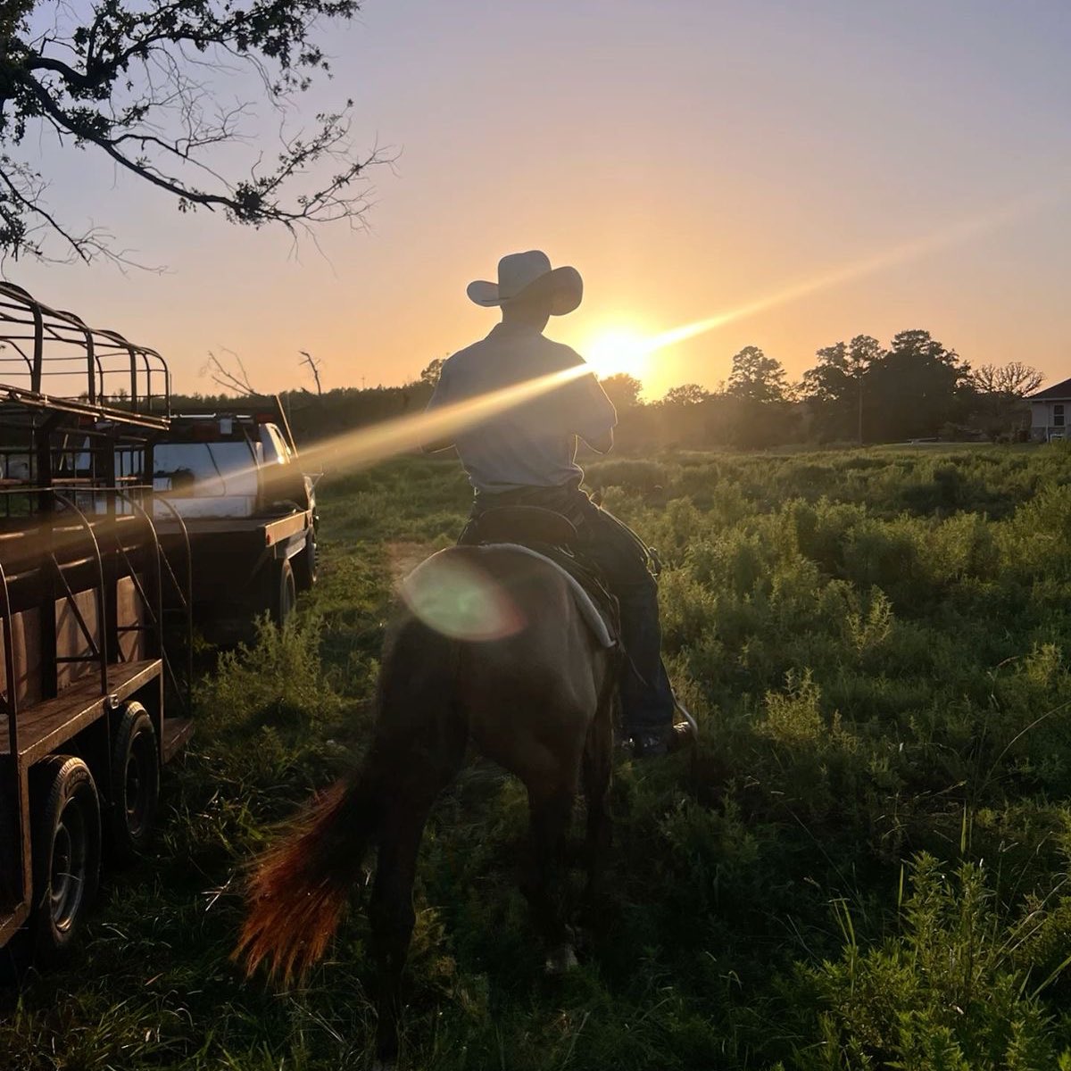 hjysd_'s tweet image. ¡! — mini au #jayhoon farmer's love🏡

Donde sh es un granjero gruñón que dice odiar a todo el mundo, o donde jy, un padre soltero, solo quiere paz… hasta que ambos descubren que el amor también puede florecer entre cosechas, pañales y segundas oportunidades.