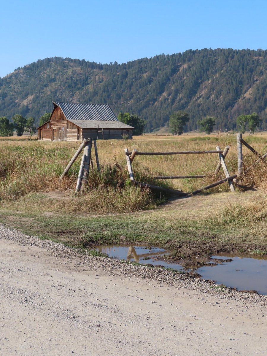 wapple15's tweet image. #ShadowsReflects