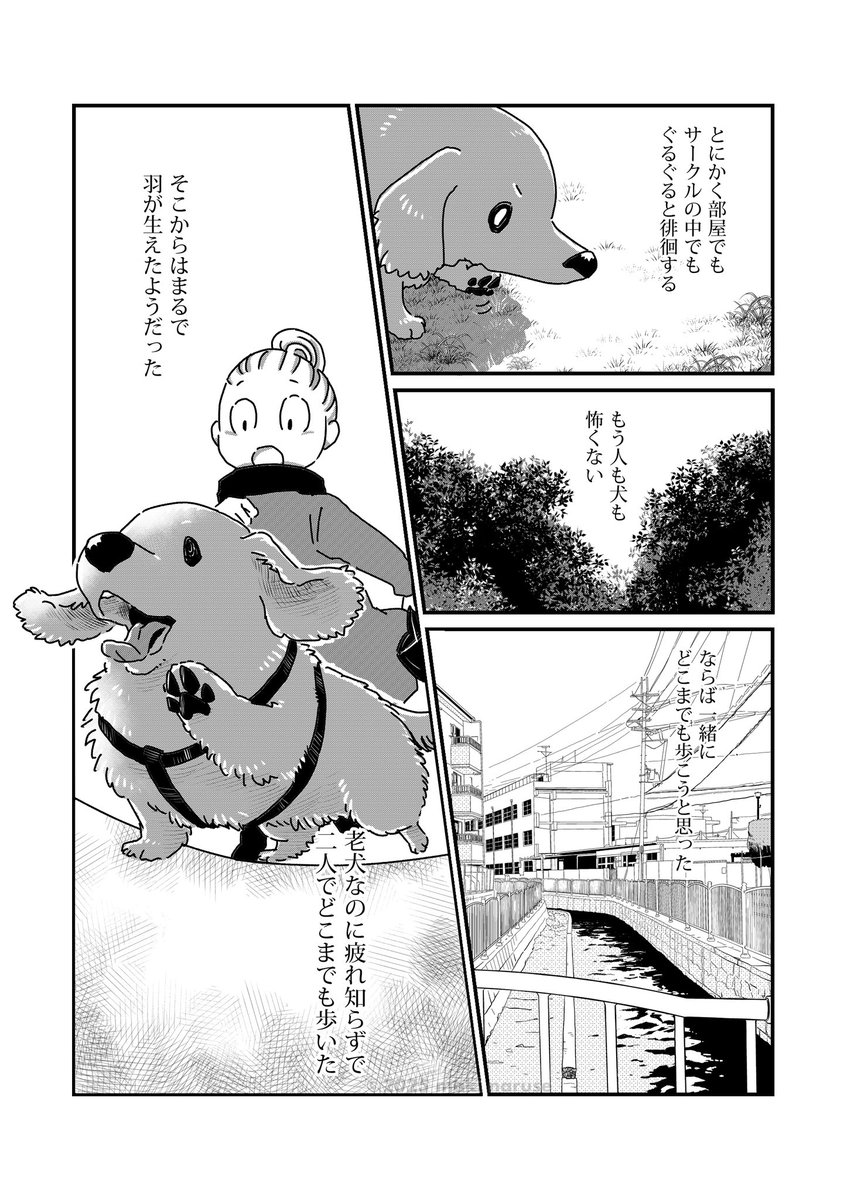 私の最後の犬に捧げる(3/5) 