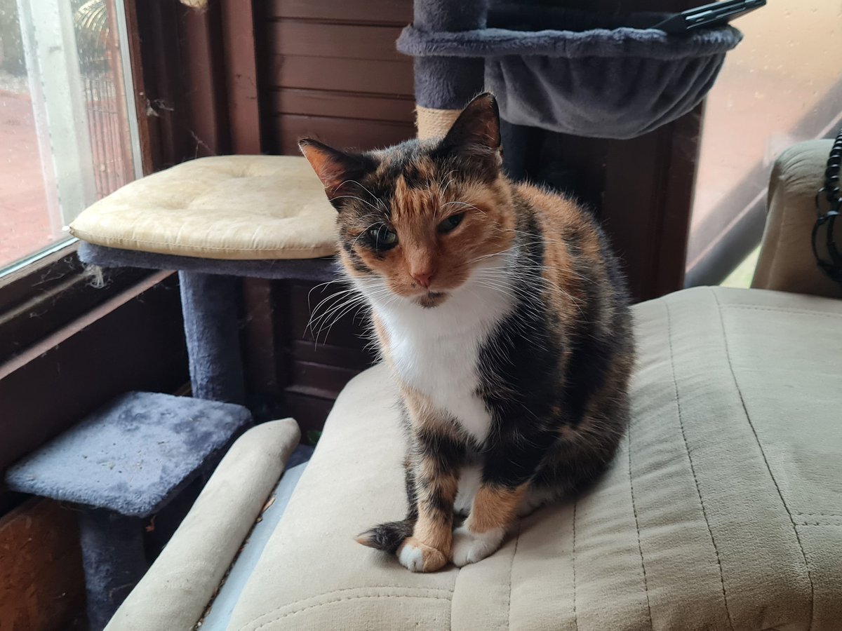 Eine Maus am Morgen.