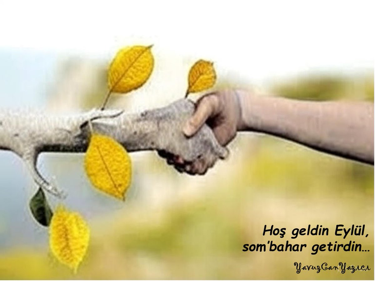 YAVUZ CAN YAZICI (@yavuzcanyazici) on Twitter photo 