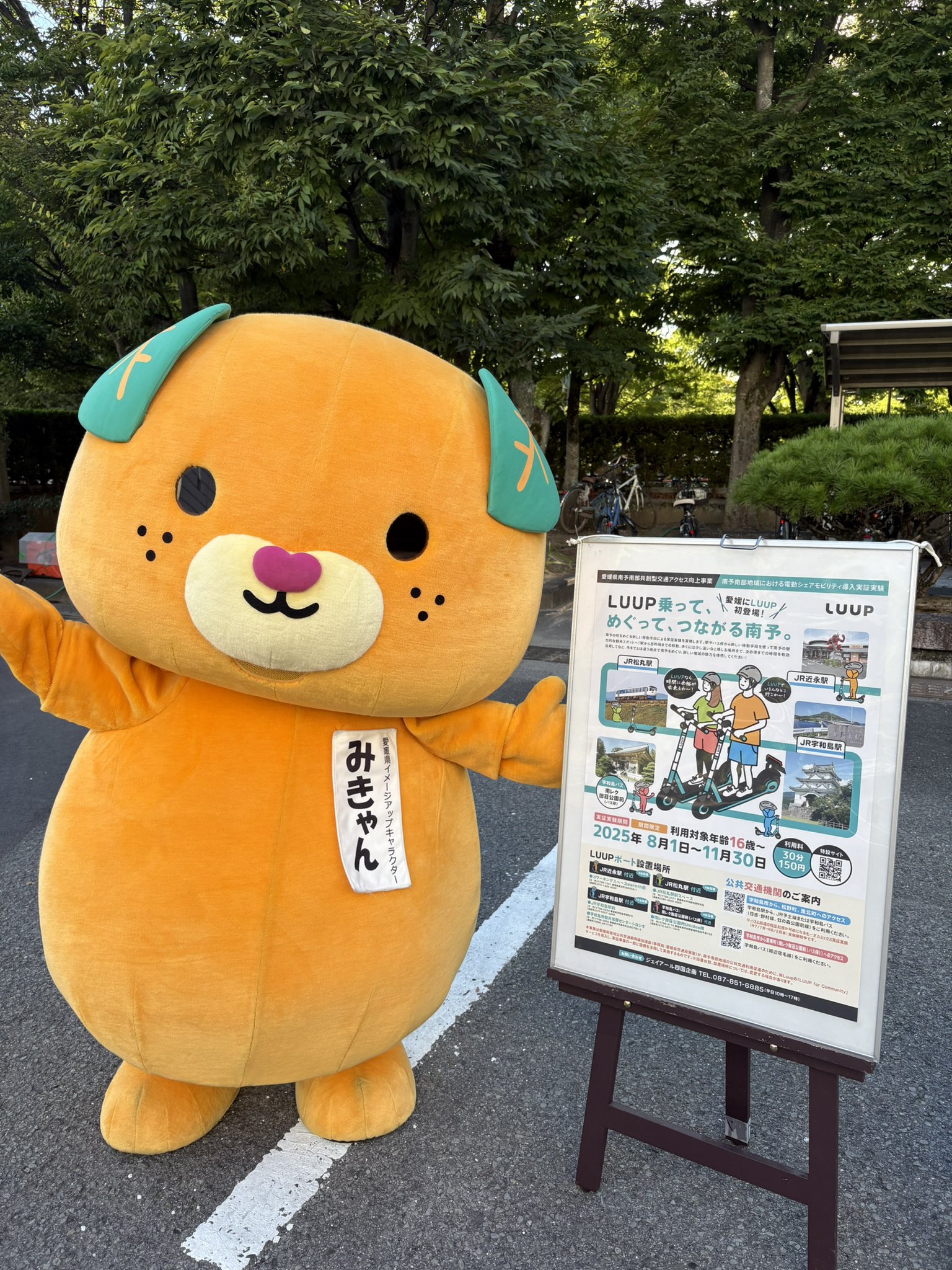 みきゃん様 みきゃん【公式】《愛媛県イメージアップキャラクター