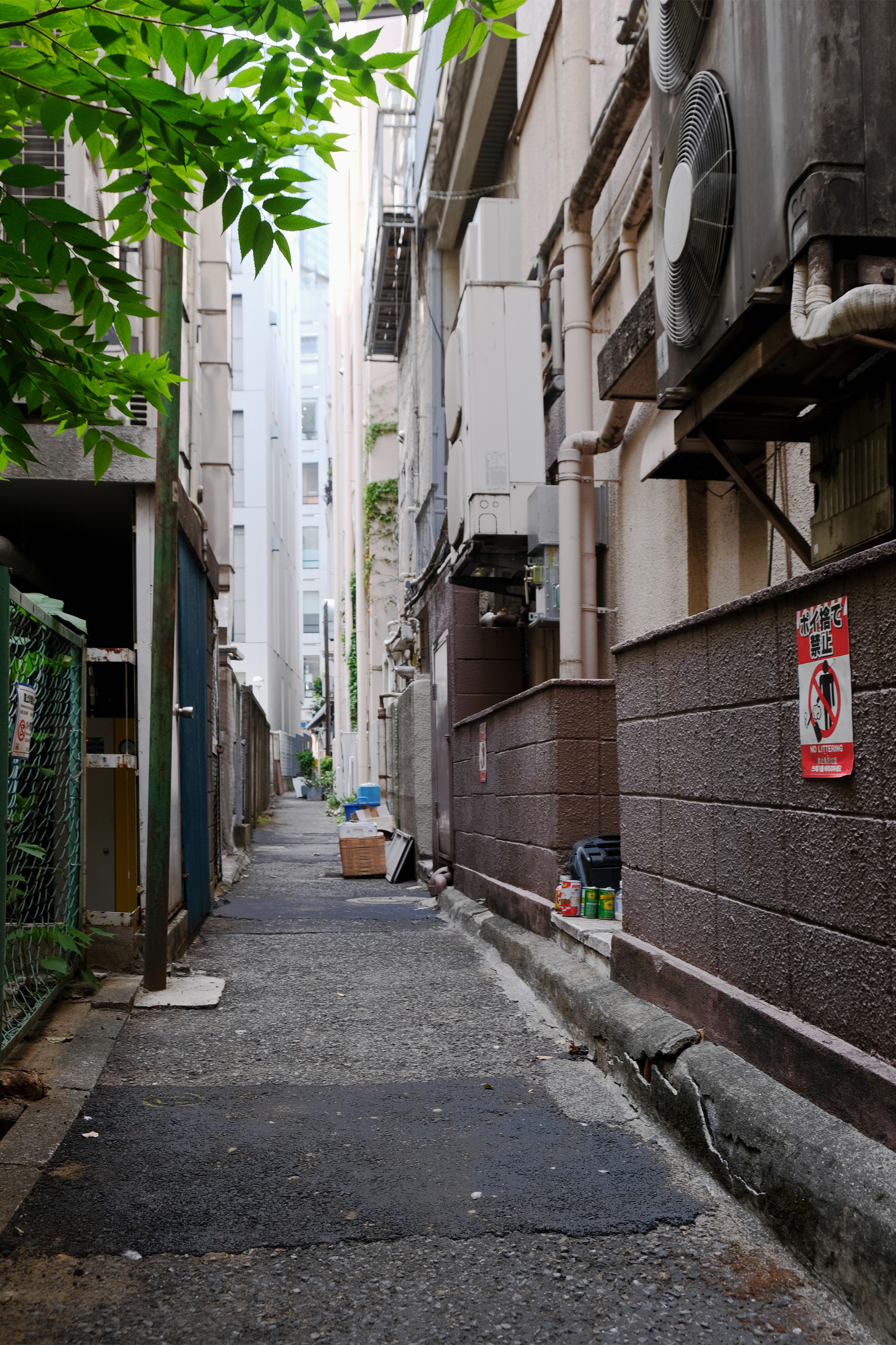 HONDA,So「東京暗渠学改訂版 失われた川を読む・紡ぐ・愉しむ