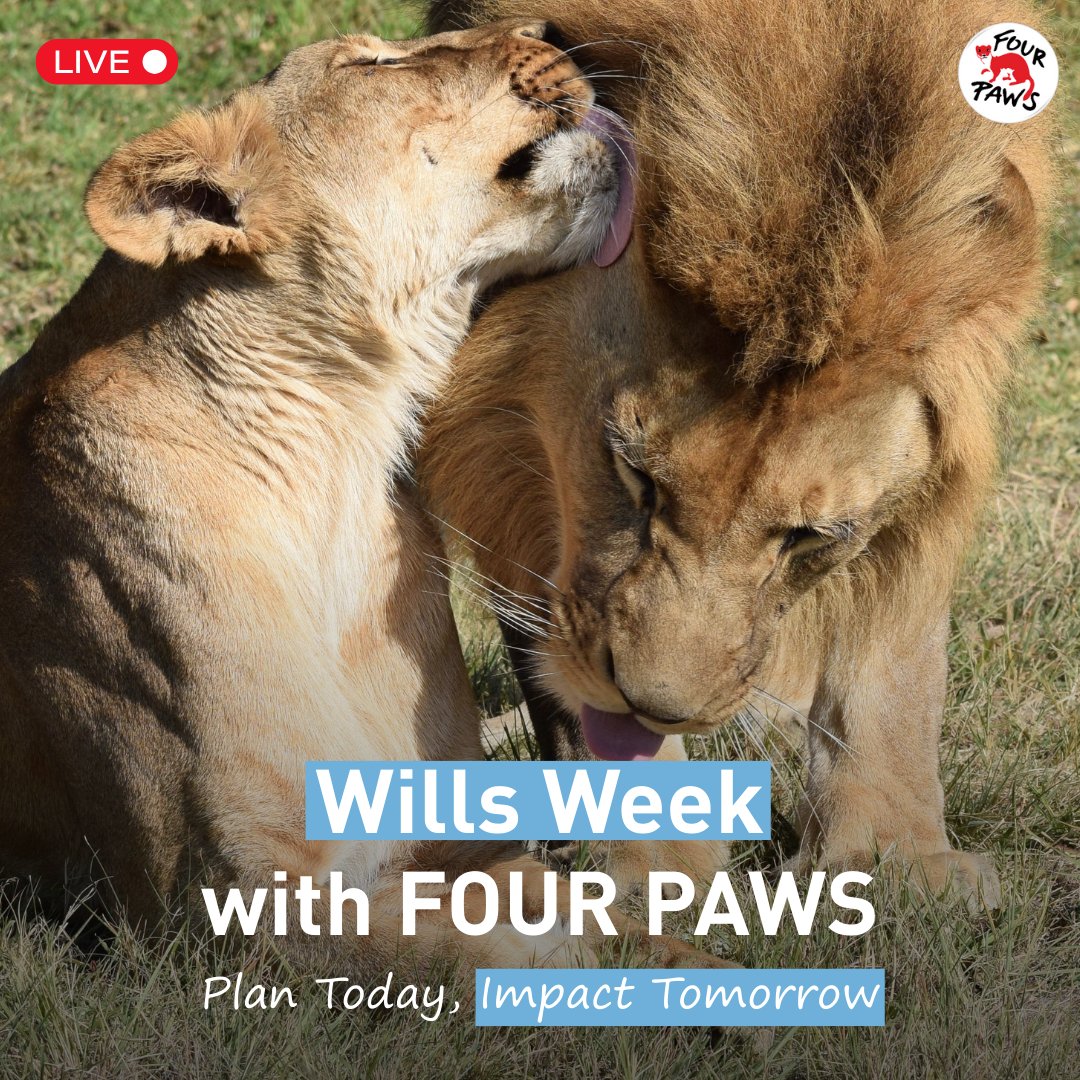 FOUR PAWS South Africa (@fourpawsza) on Twitter photo 💡 Did you know? During National Wills Week (15–19 Sept 2025), qualified attorneys will draft your Will for FREE! 
Join us on 10 Sep, 11am for a Facebook Live with legal expert Sarah Bond to learn more. Register your interest here: facebook.com/share/174eSsZg…
 
#WillsWeek 💡 Did you know? During National Wills Week (15–19 Sept 2025), qualified attorneys will draft your Will for FREE! 
Join us on 10 Sep, 11am for a Facebook Live with legal expert Sarah Bond to learn more. Register your interest here: facebook.com/share/174eSsZg…
 
#WillsWeek