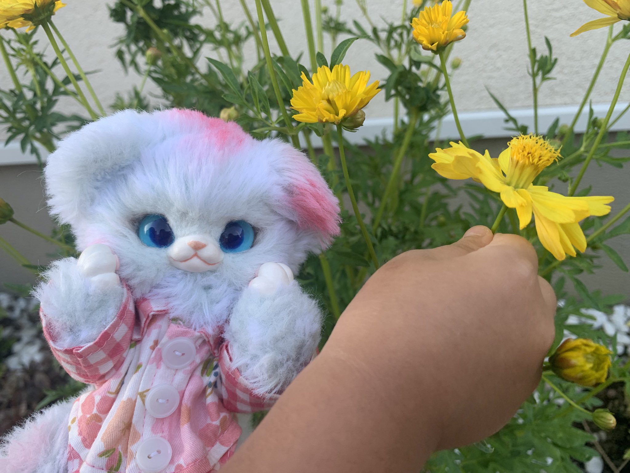 Ωぽたぽた工房Ω 叶星(かないぼし) 天の川×狐 ハンドメイド アートドール Ωぽたぽた工房Ω 叶星(かないぼし) 天の川×狐 ハンドメイド