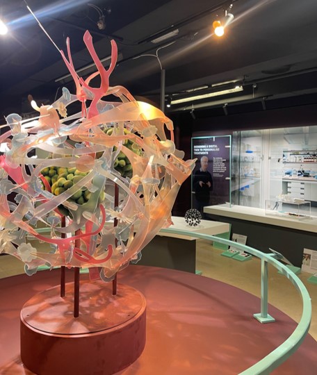 Step inside the science and stories changing lives.
𝘾𝙖𝙣𝙘𝙚𝙧 𝙍𝙚𝙫𝙤𝙡𝙪𝙩𝙞𝙤𝙣: Science, Innovation and Hope is now open in Dublin - a tapestry of science and humanity, free for all to explore.
🎟 Free
📍 Stephen’s Green Shopping Centre
 👉 cancerrevolution.ie