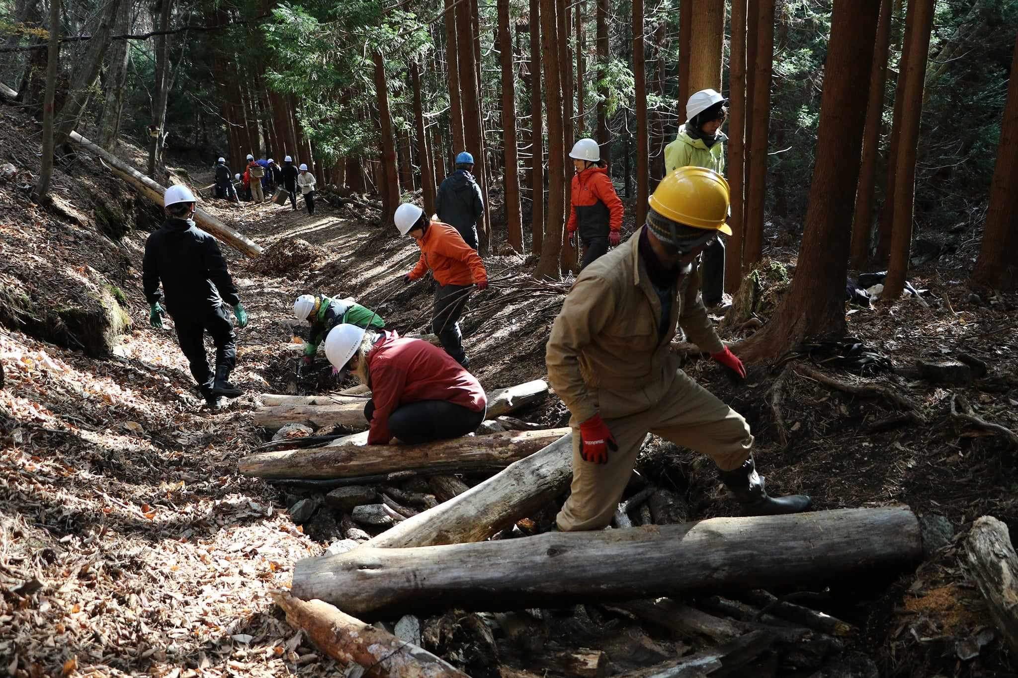 新品未使用　Info trail インフォトレイルオーディオパック　科学地理歴史 2025年最新】info trailの人気アイテム - メルカリ