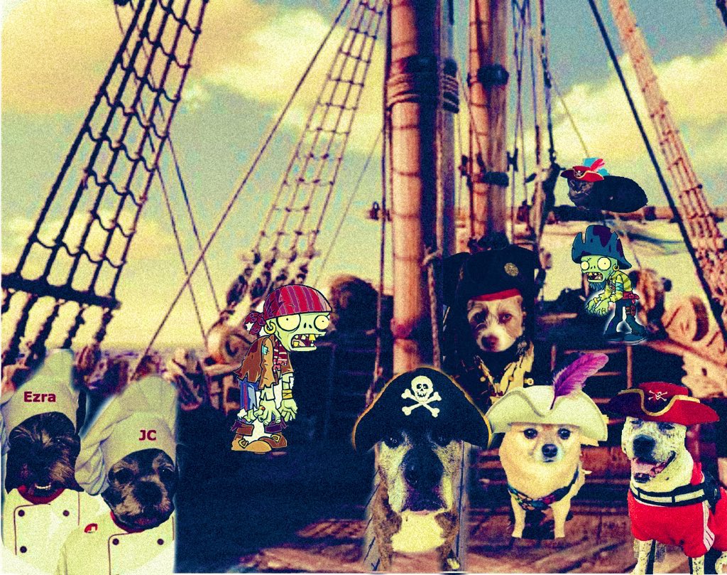 trebus_mr's tweet photo. Mine memrees off owa crew bak in 2020 #ZSPirateWeek @ZSHQ #ZSHQ @cgbosslady1 @Penny_Lane_Pup @hooterboy Dexter, Molly&amp;Brisa @bo_boesbear @kthreadgold113 @FrancieR13 🥹❤️🐶🐾🌈🏴‍☠️ https://t.co/XtMNoxiAyC