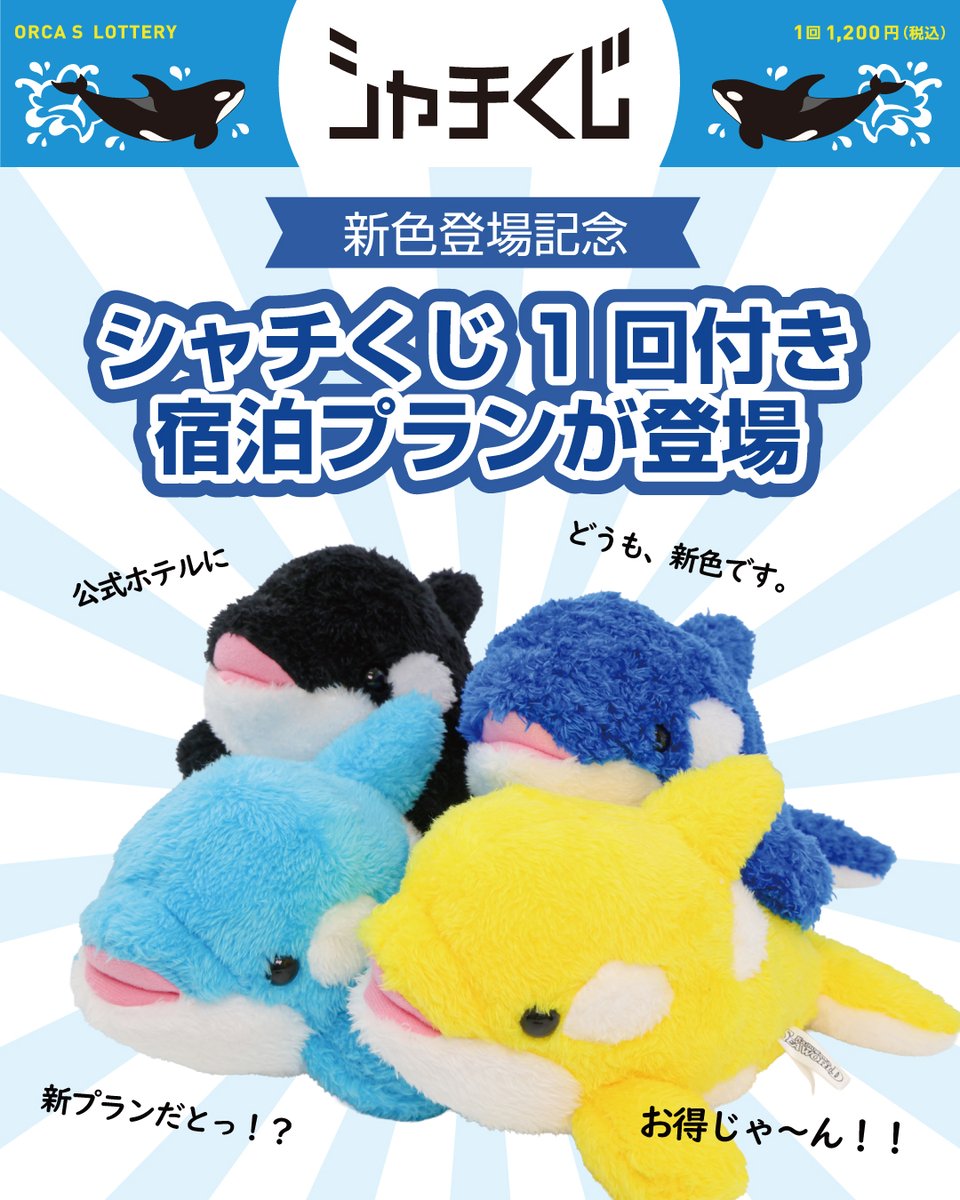 鴨川シーワールド限定　シャチ　グッズセット 鴨川シーワールド シャチ ぬいぐるみセット 3L 鴨川シーワールド