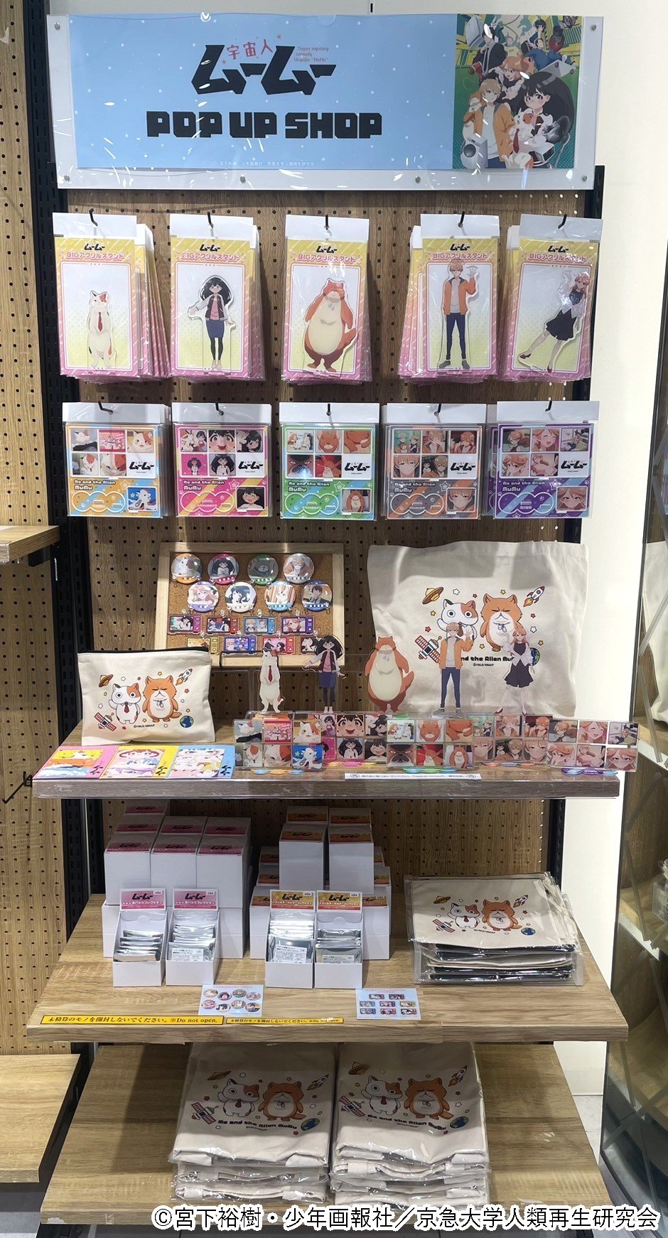 popmart コスチューム なりすまし写真悪用者 【通報して下さい】 maxresdefault.jpg