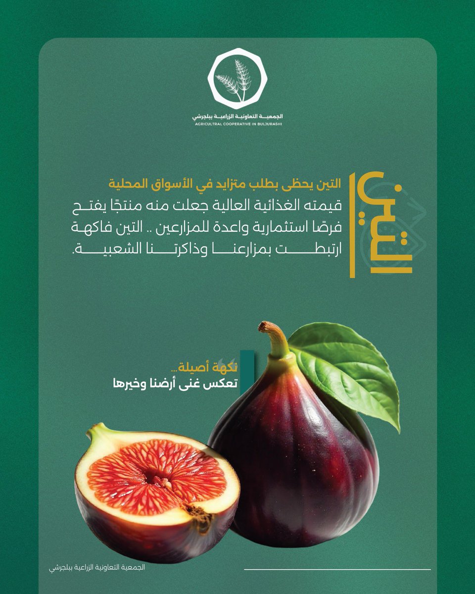#التين يحظى بطلب متزايد في الأسواق المحلية لقيمته الغذائية واستخداماته المتنوعة .