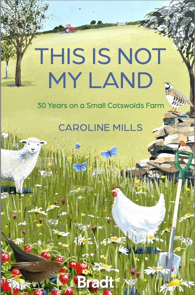 CarolineMills99's tweet image. COVER REVEAL! Here it is, the wonderful front cover to my new book, to be published in Jan 2026 with @bradtguides. This Is Not My Land: 30 years on a Small Cotswolds Farm. #naturefriendlyfarming, #conservation, &amp;amp; the ultimate in microcosmic #slowtravel. #Oxfordshire #Cotswolds