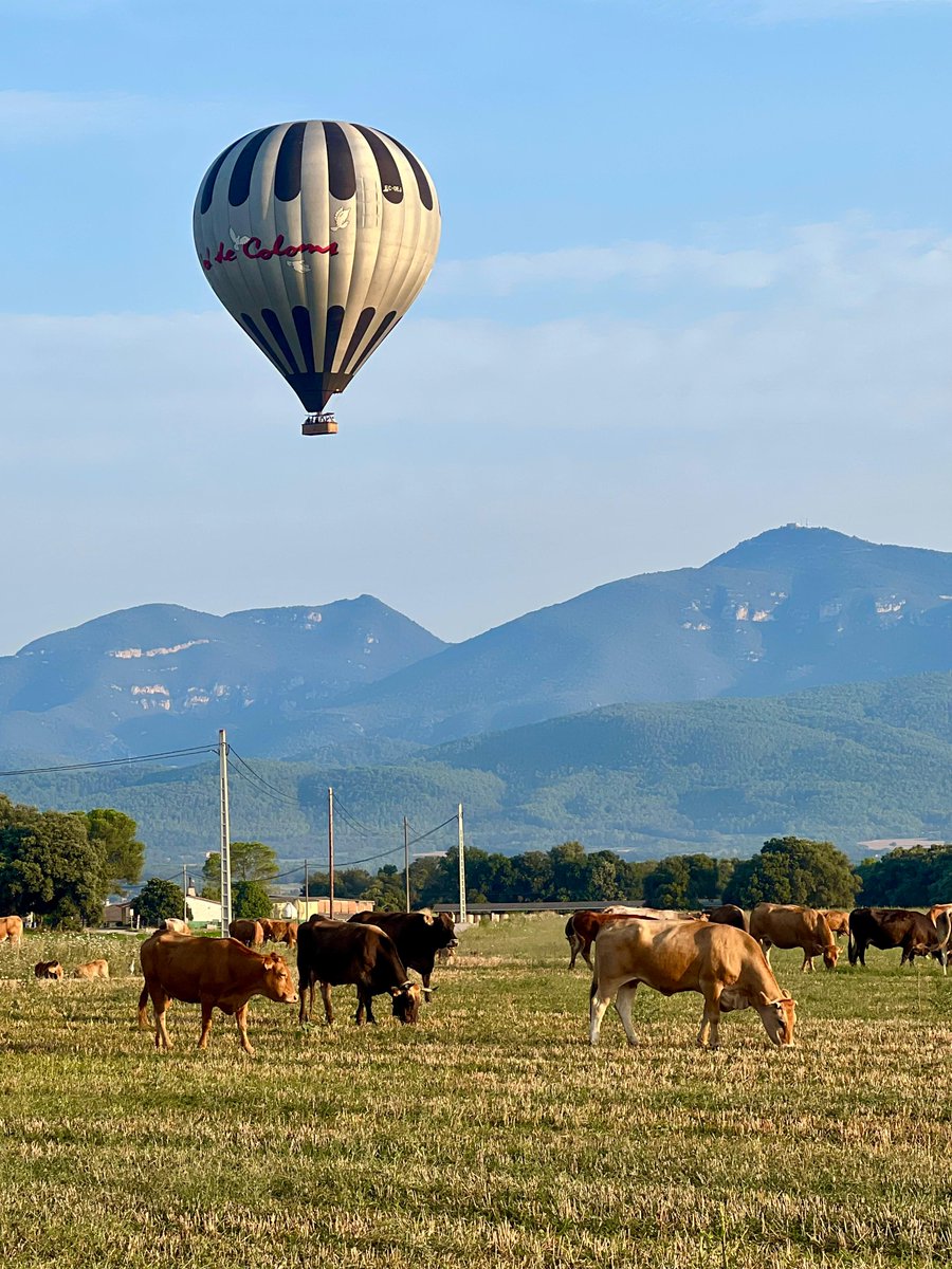 Convivint amb la naturalesa!
·
#volenglobus #natura #Experiencia