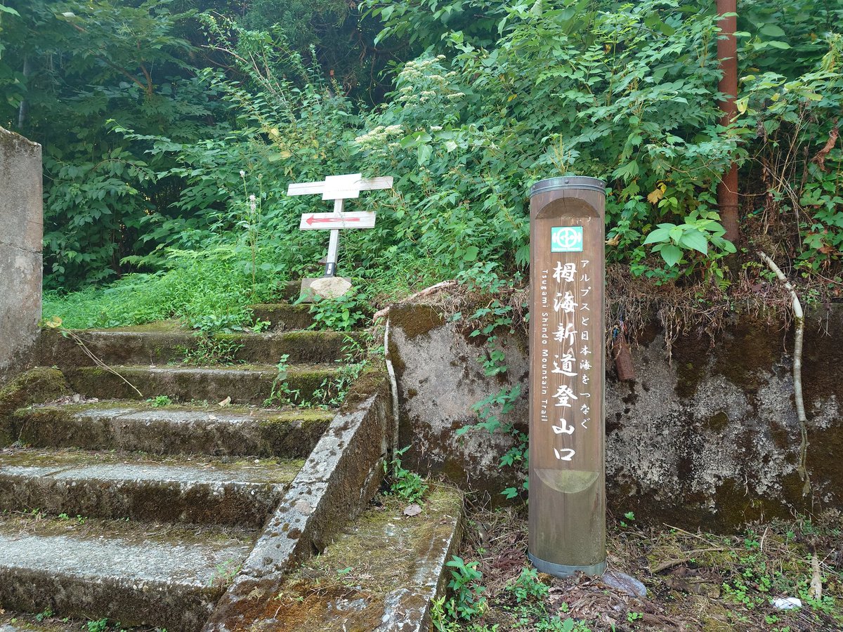 kaseiso's tweet image. 10日間の北アルプス主脈全山縦走(焼岳→親不知海岸)から無事下山しました
感無量です