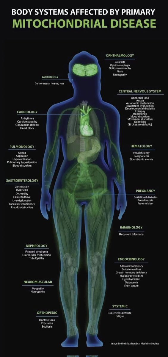 September 15-21 is Mitochondrial Disease Awareness Week-a time to spotlight diseases that are primarily due to defect(s)in mitochondria. Let's stand with the mito community and help raise awareness for patients, families, and research. #MitochondrialDisease #Awareness #Health