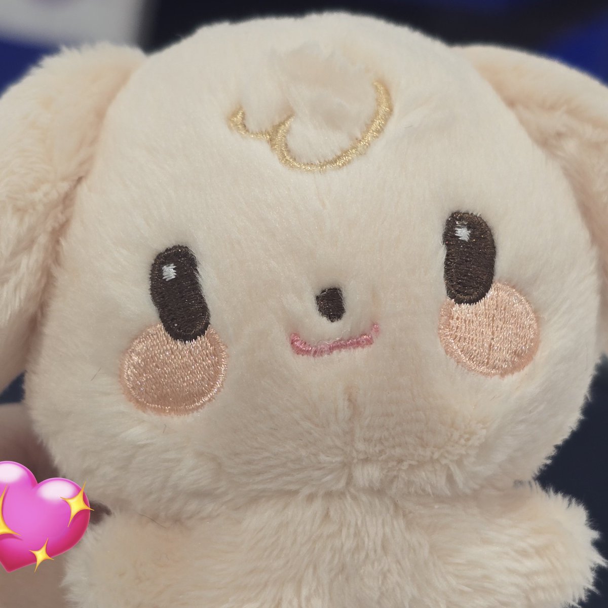 타코🌮 (@taco_0323) on Twitter photo 