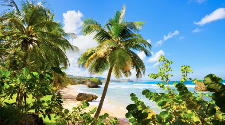 michelle_taffy's tweet photo. Small Island Developing States are on the front lines of climate change, helping the world address the crisis with bold solutions. #Fardeenpro #globalcitizen #kikaocultures #EdutainmentBD #Its4us2030 #GlobalGoals #InnerDevelopmentGoals https://t.co/NMNSHjuqQz