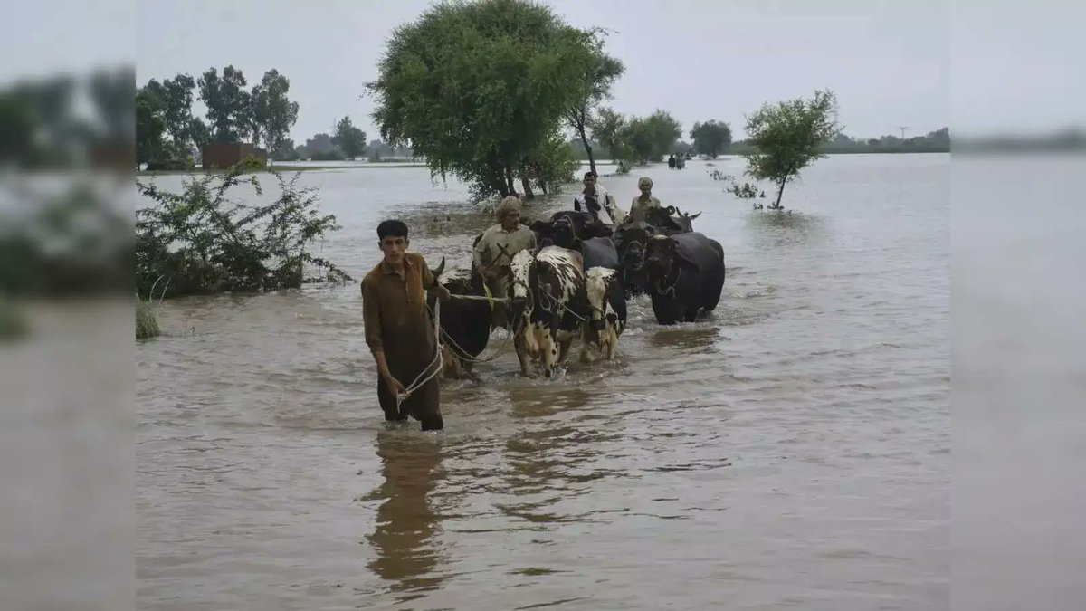 Aman Banwait tweet media