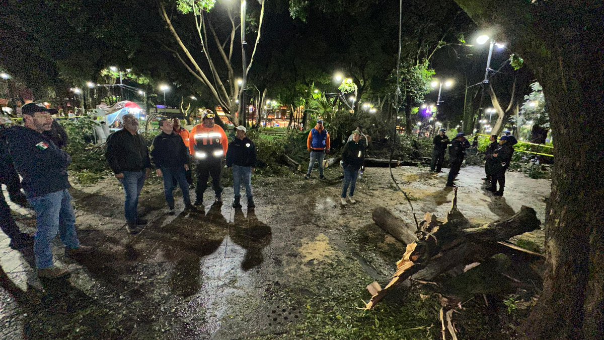 🚨 El equipo de la <a href="/Alcaldia_Coy/">Alcaldía de Coyoacán</a> y #UGIRyPC Coyoacán ya se encuentra en las calles de la demarcación, atendiendo las emergencias por caída de árboles y ramas a causa de las lluvias intensas.

Seguimos trabajando sin descanso para garantizar tu seguridad y la de todos los vecinos.