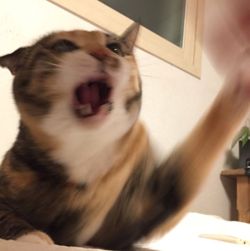 후루룩구루룩 훅끼 🕯️ (@krrrhooky) on Twitter photo 