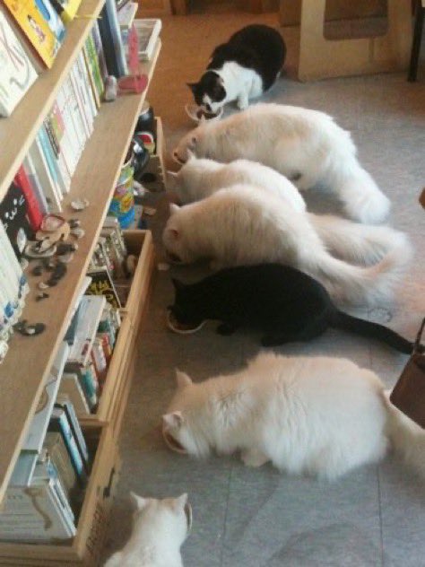 후루룩구루룩 훅끼 🕯️ (@krrrhooky) on Twitter photo 