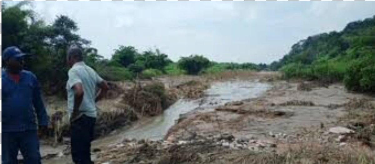 DiggersOfNews's tweet image. Kalulushi residents move to sue Sino Metals for pollution, demand $420m diggers.news/local/2025/09/…