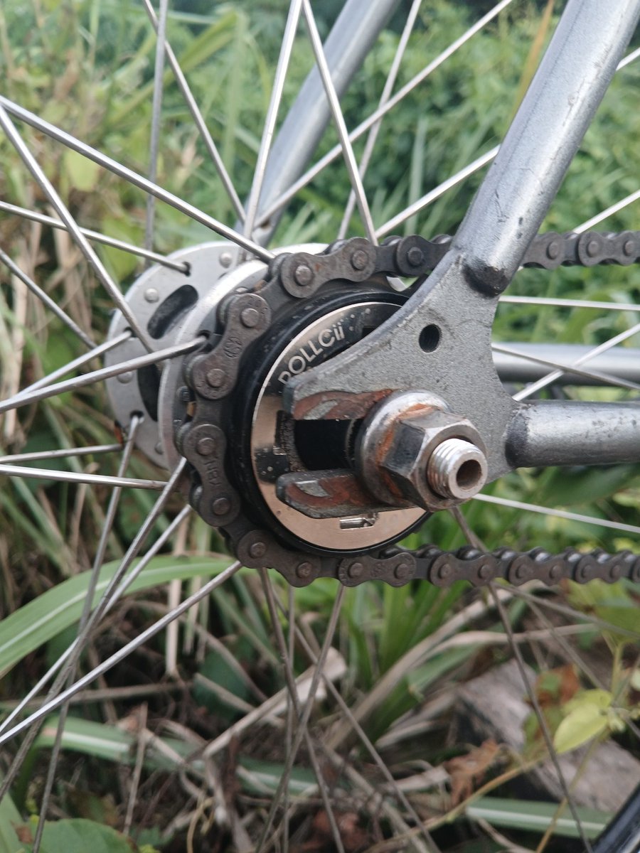 Kijang Belang tweet media