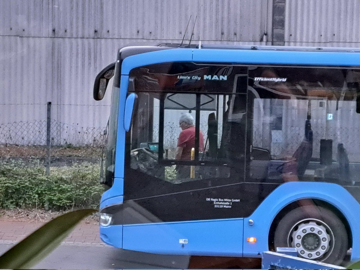 Der Busfahrer vom Verkehrsverbund Rhein Neckar wie er vor meinem Fenster bei den Nachbarn an den Zaun pinkelt 🤨
