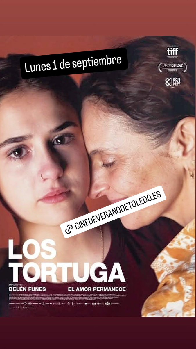 Cine de Verano de Toledo: 1 DE SEPTIEMBRE. HOY LUNES VEMOS... LOS TORTUGA

A LAS 22.00H
 cinedeveranodetoledo.es/2025/09/1-de-s…