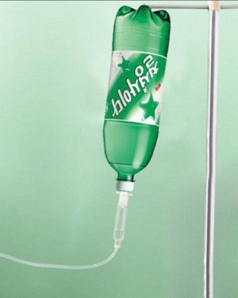 듀 (@nwh_puppy) on Twitter photo 