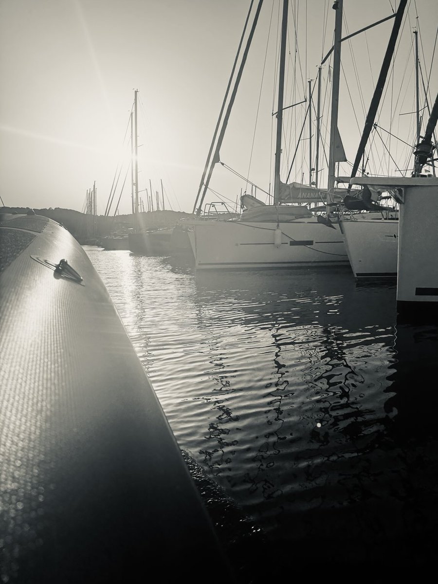 sunflower (@chr90688) on Twitter photo 