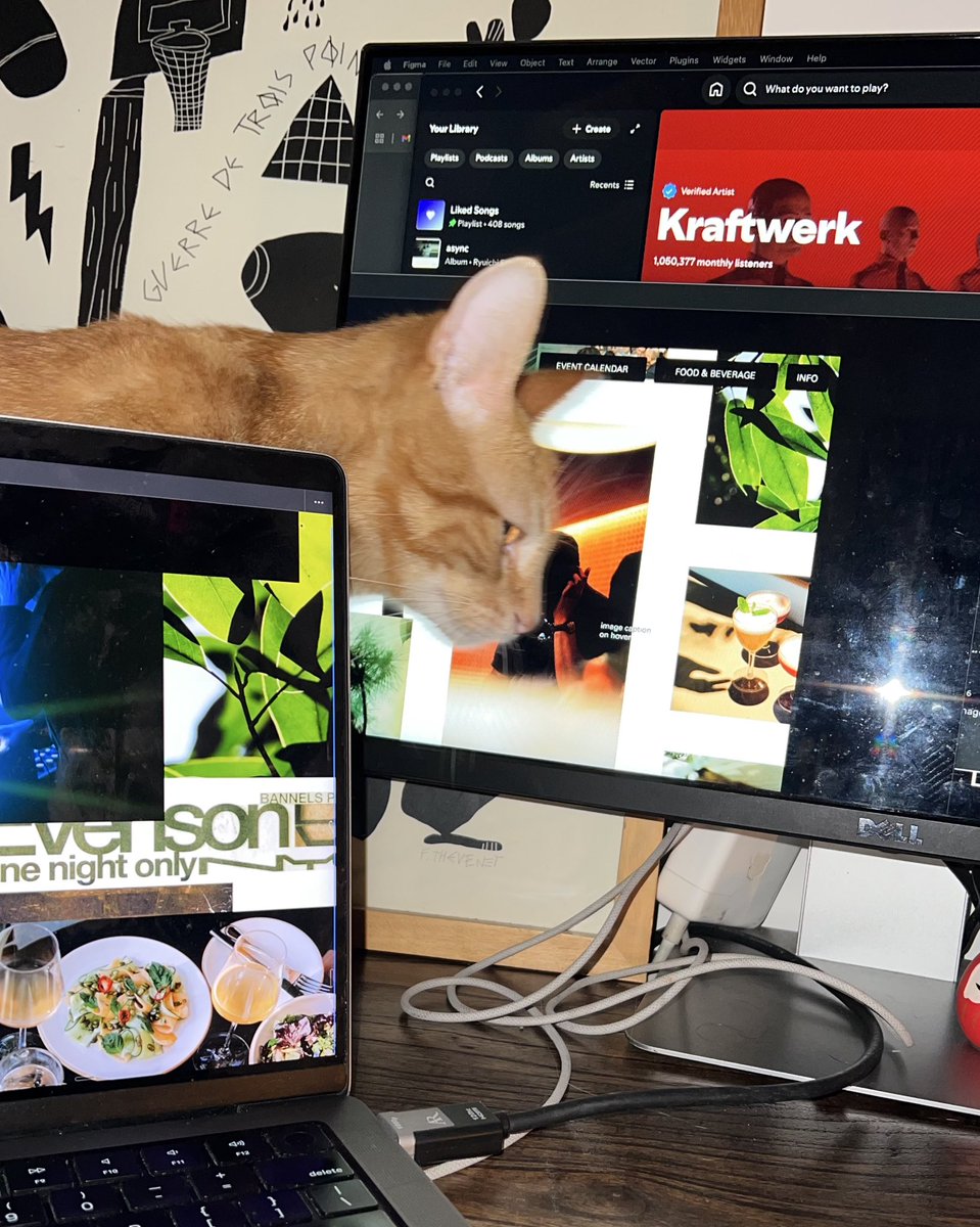 cat craft &amp; kraftwerk on a sat night design session