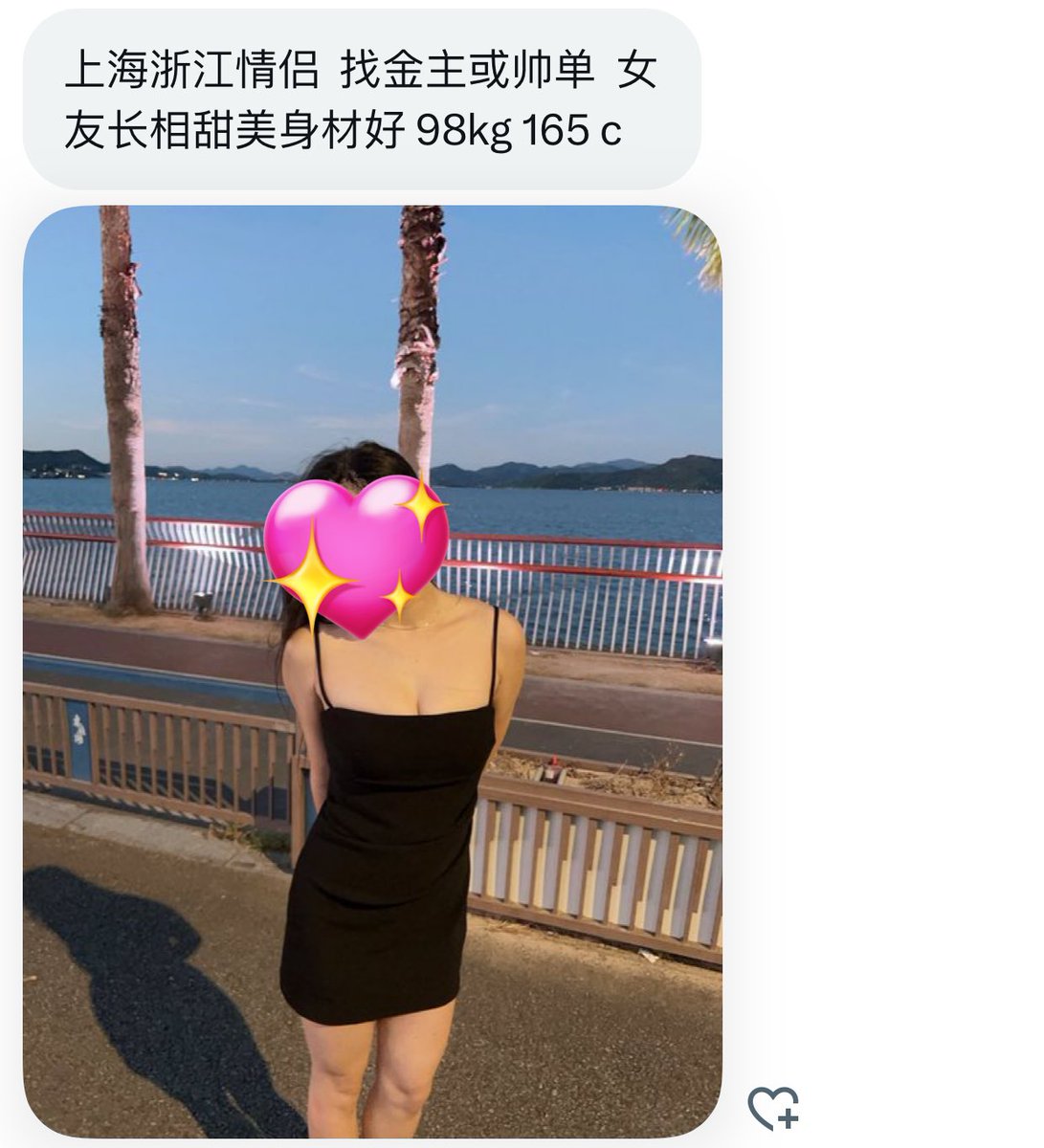 魔都投稿 tweet media