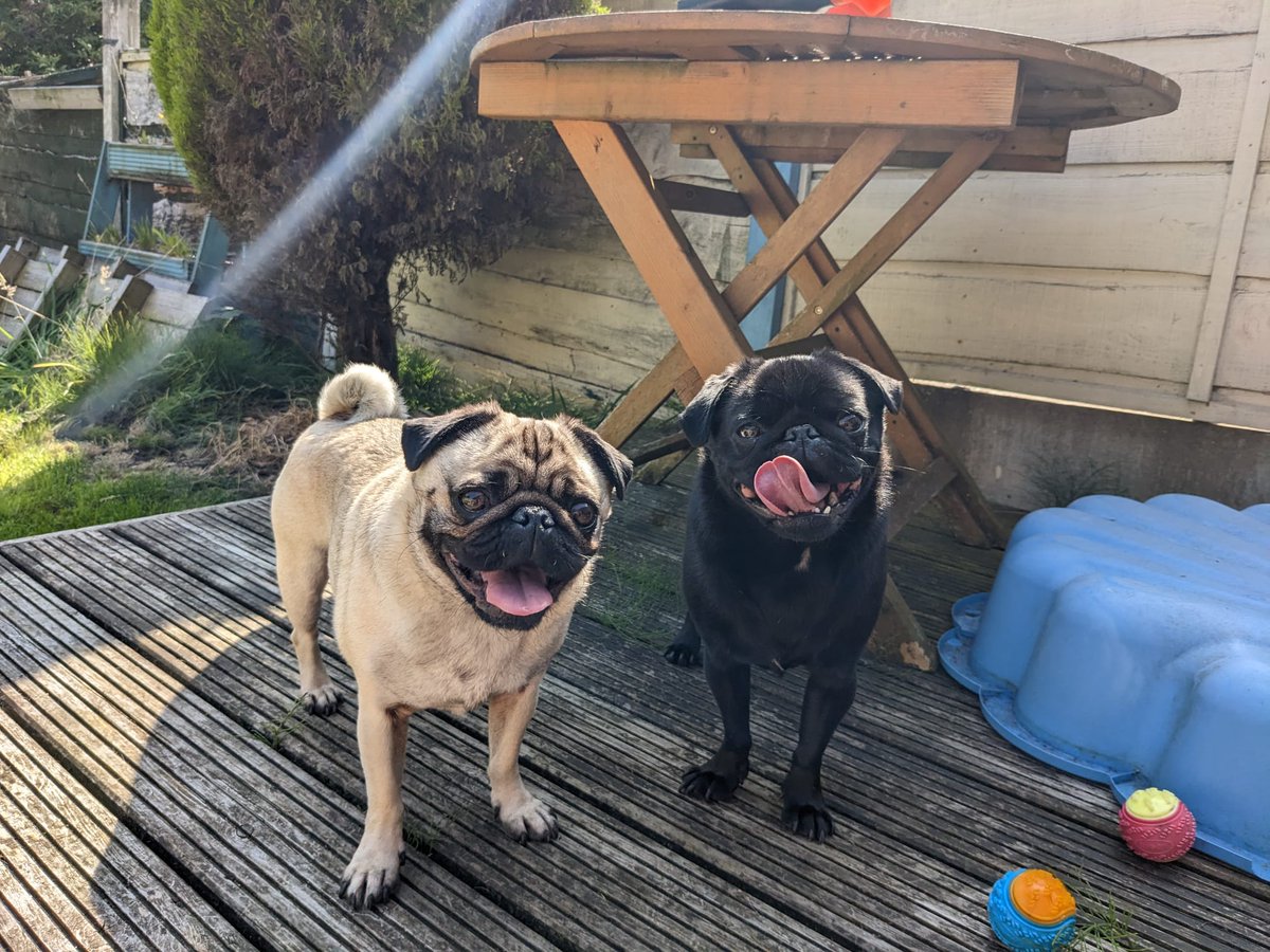 Mrs Hutton tweet media