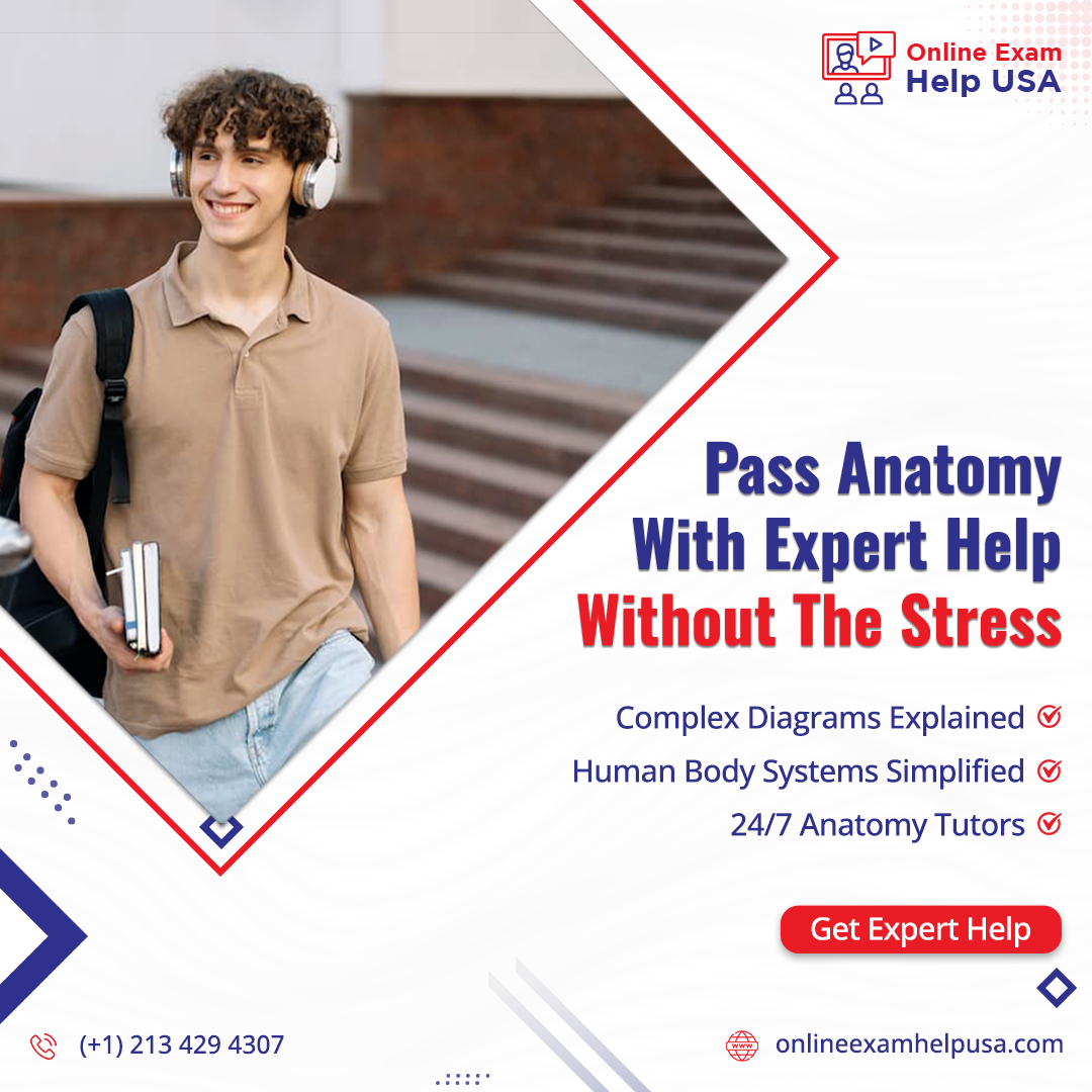 examhelpusa's tweet image. Get step-by-step explanations, clear study notes, and help anytime you need it. We make passing anatomy easy, confidential, and affordable for students everywhere.

Don’t wait — get the help you deserve today!
.
.
.
#AnatomyHelp #OnlineExamHelpUsa #TakeMyClass #MedicalStudents