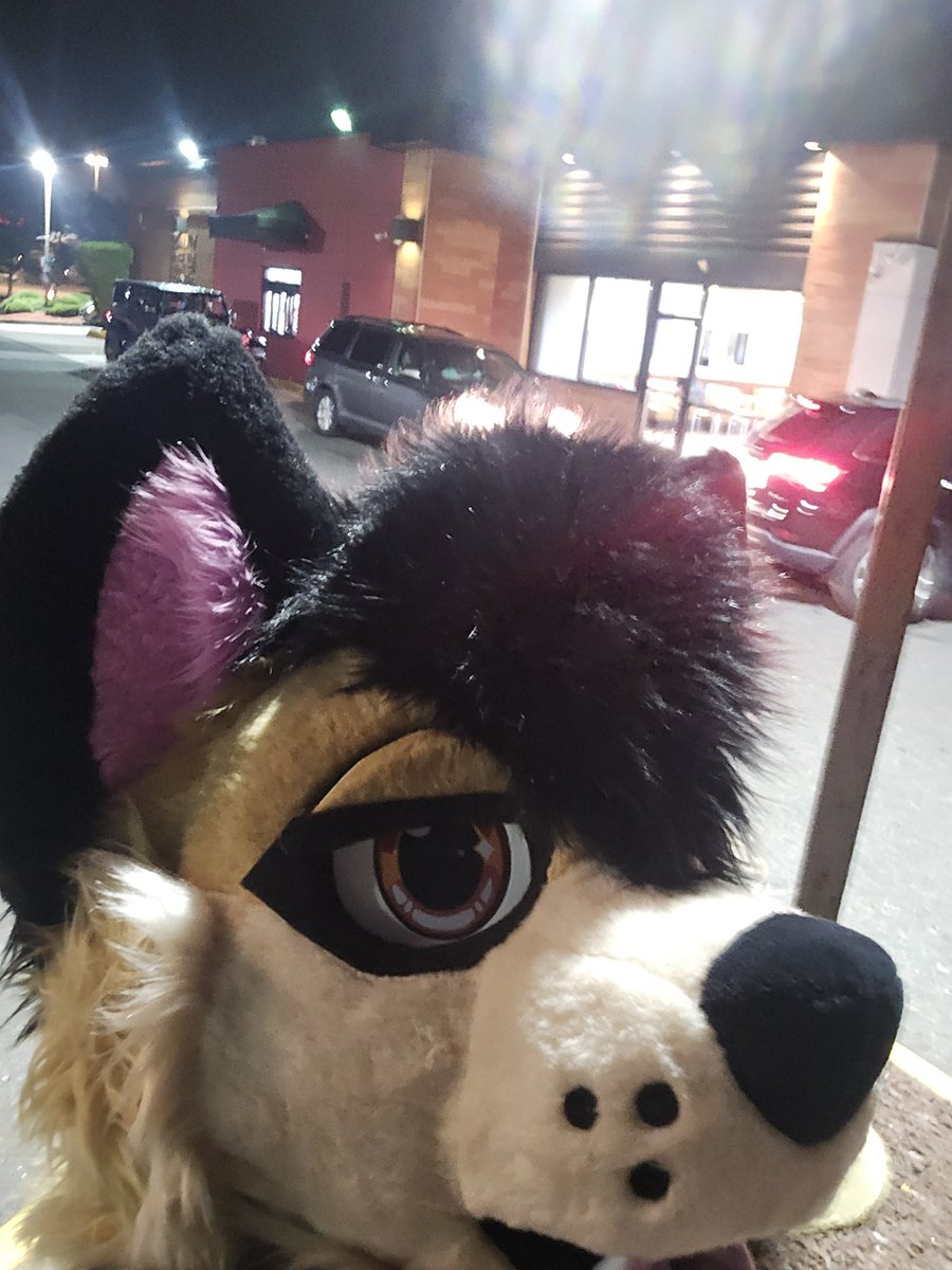 FoxyStar tweet media