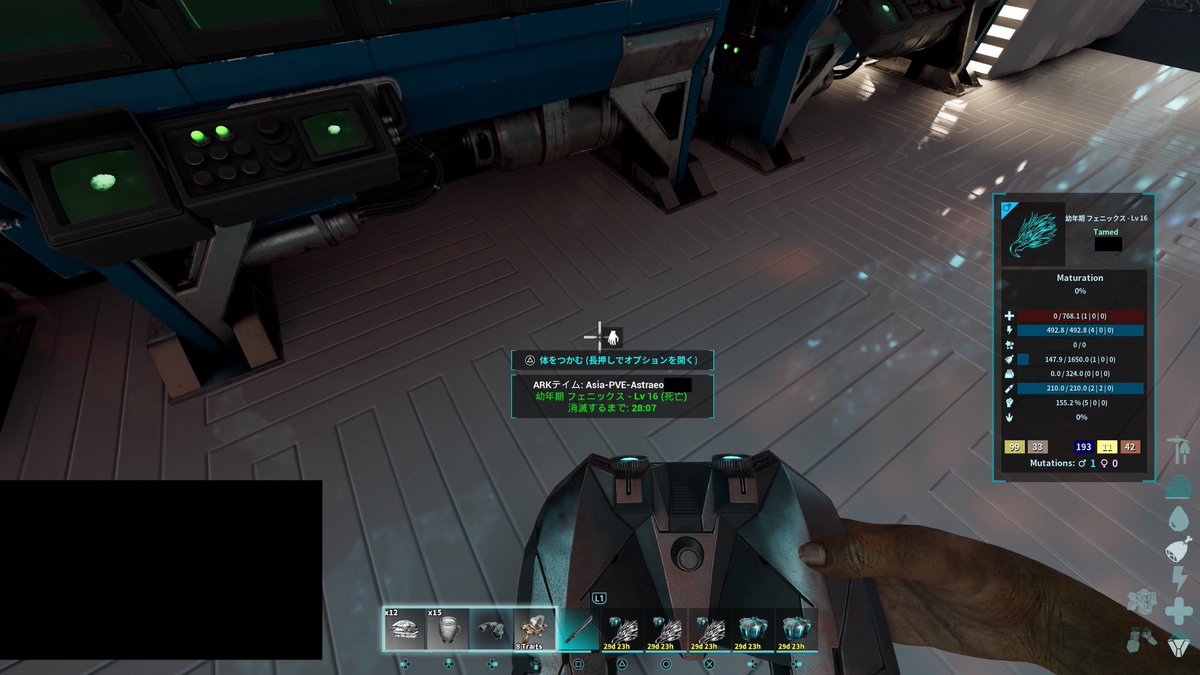 ArkHeyhey's tweet image. 定期的に産まれたてのフェニが殺される件🤔
獲得してモンボに入れる途中、変異に名前付けてる途中、メイの籠で一旦回収したら大丈夫かなと試しに載せて騎乗解除した瞬間、見えない何者かに吹き飛ばされて死ぬ🙄
死体も透明になるけど掴めはする🤔
キルログ見たらいつもOSDの高レベライトニング生物😇