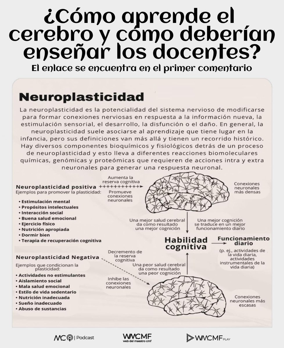 ¿Cómo aprende el cerebro y cómo deberían enseñar los docentes? Enlace: webdelmaestrocmf.com/portal/como-ap…

¿Sabías que nuestro cerebro cambia con cada experiencia? 🧠✨ Este fascinante artículo explora cómo la neuroeducación nos brinda herramientas para adaptar nuestras estrategias de