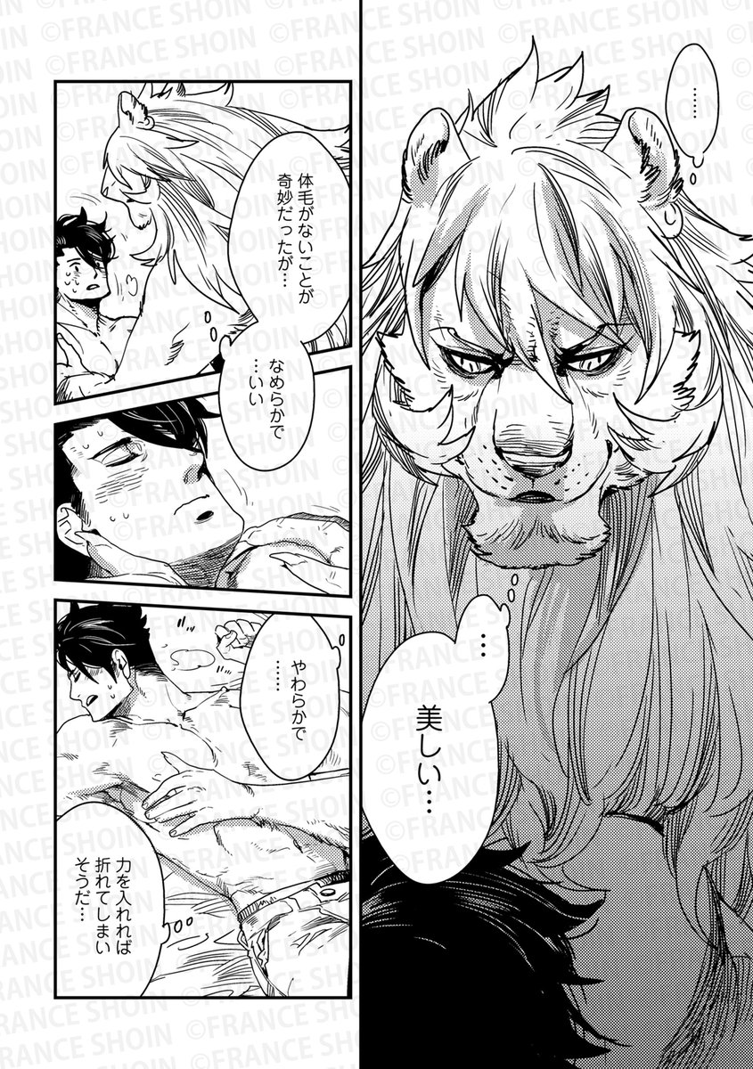 @aoiaki_info @asadanemui @ogaerimay @oshigoto_jnnk @harucomoto @oyu_komeda @chloe_ori 【Canna103号】好評連載✨
#琥狗ハヤテ 先生『#サモン・トリマー』
戦場へ赴くことになったアブヤドと
想いを交わす丈。
獣人とは違う、その滑らかで柔らかい肌に
アブヤドは--🛏♡🦁
🔸アニメイト https://t.co/98tY5m2AzZ
🔸Amazon https://t.co/2LaNfGNK9U