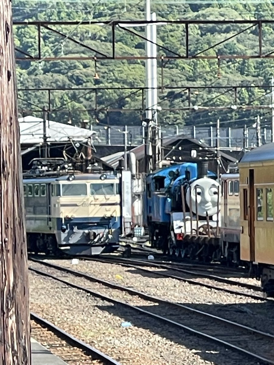 夏休みをとって家族で大井川鐵道の旅へ。
新金谷駅で電車待ってたら、猪と衝突したので遅れているとの事。
これぞ旅の醍醐味😆

#大井川鐵道 #新金谷駅