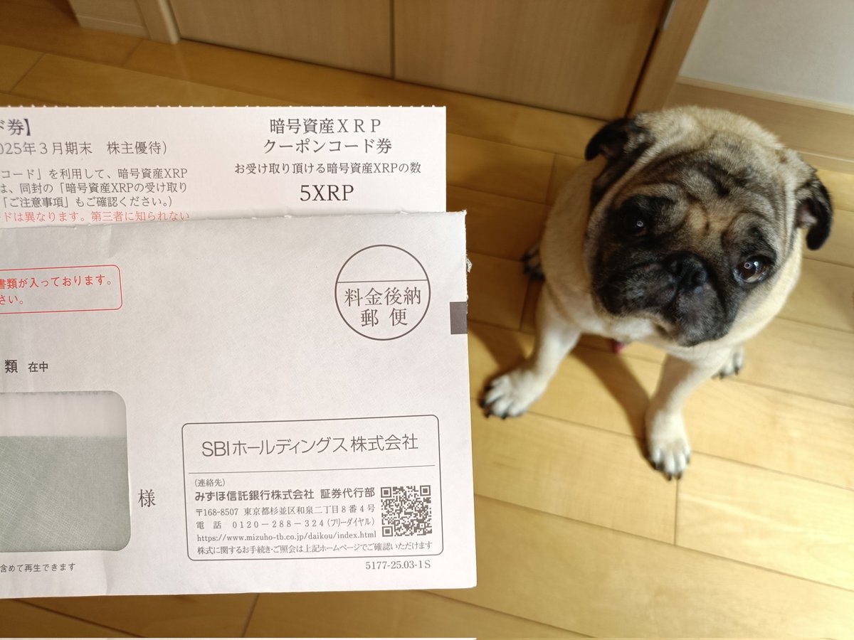 本日到着した株主優待は〜🐶 🔹SBIホールディングス[8473]から、暗号資産XRP クーポンコード券 5XRP 🤣5かよ  🔹フジオフードグループ本社[2752]から、優待の案内×2人分 日本たばこ産業から、配当金が入金💰️10万円超😆
