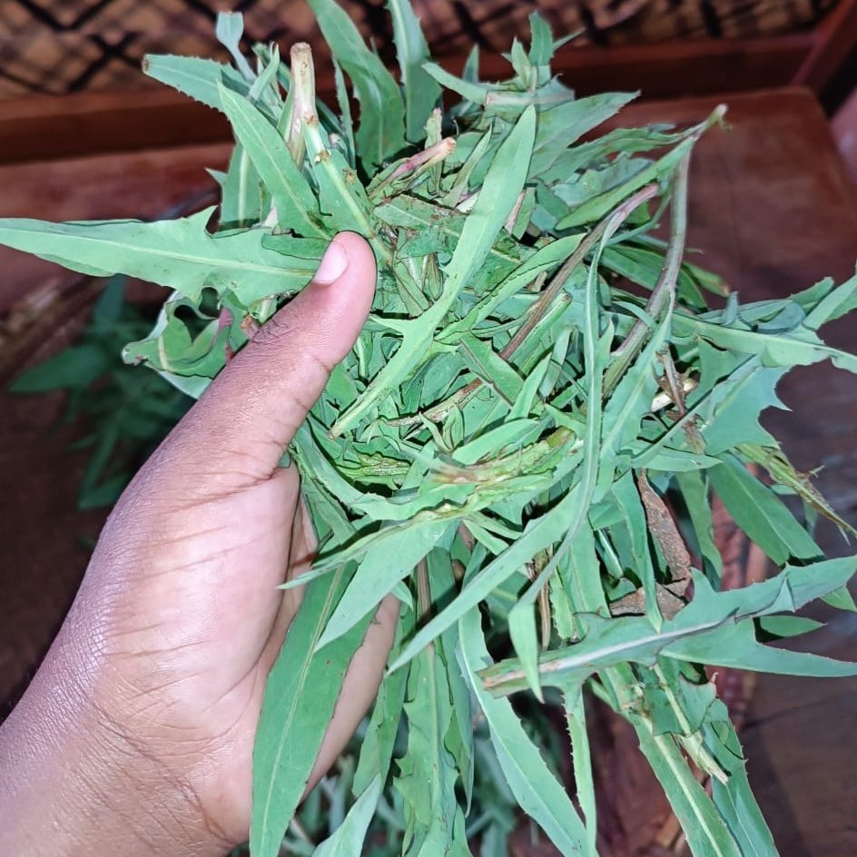 #NewProfilePic #NewMonth