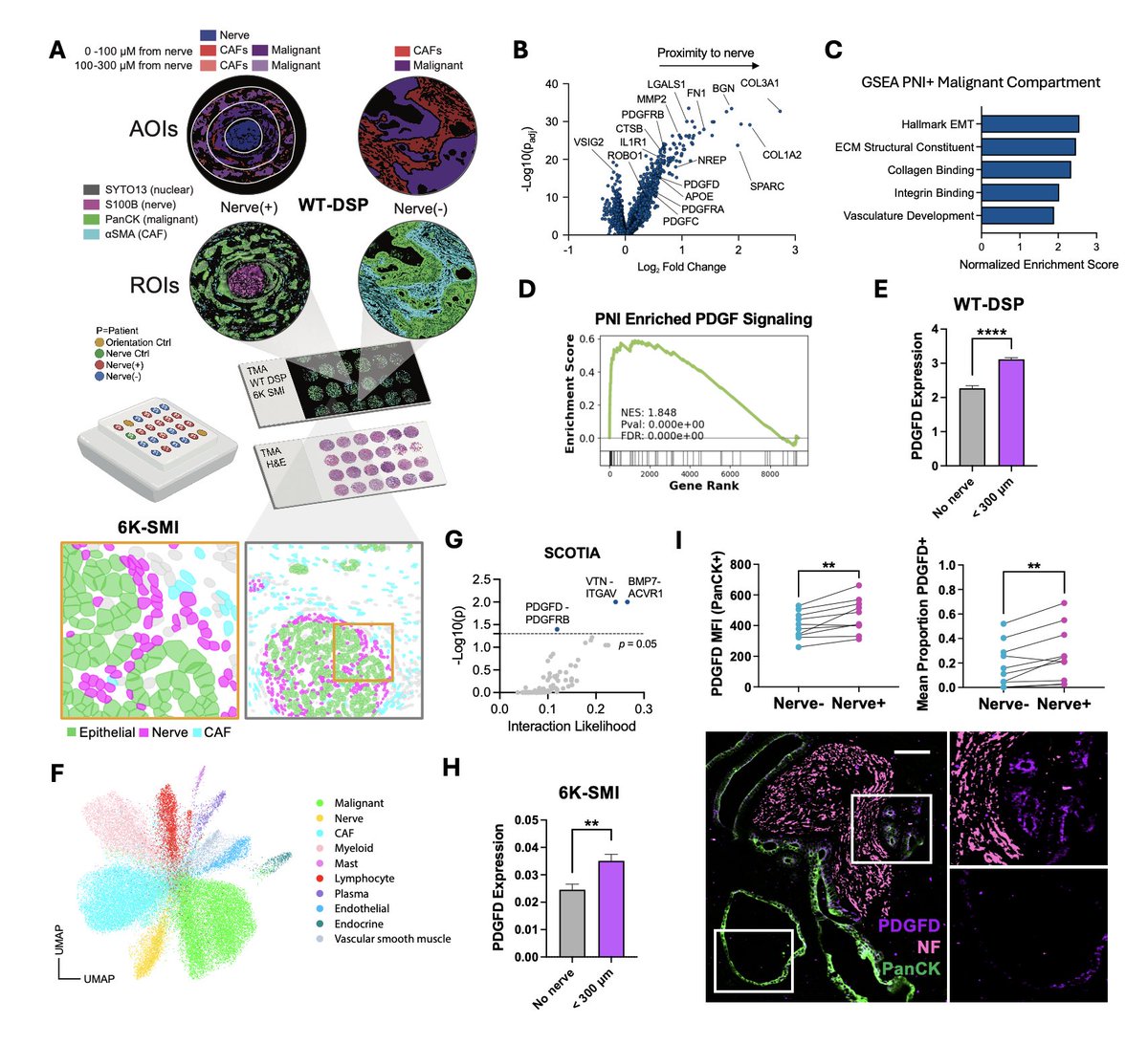 Peter Wang tweet media