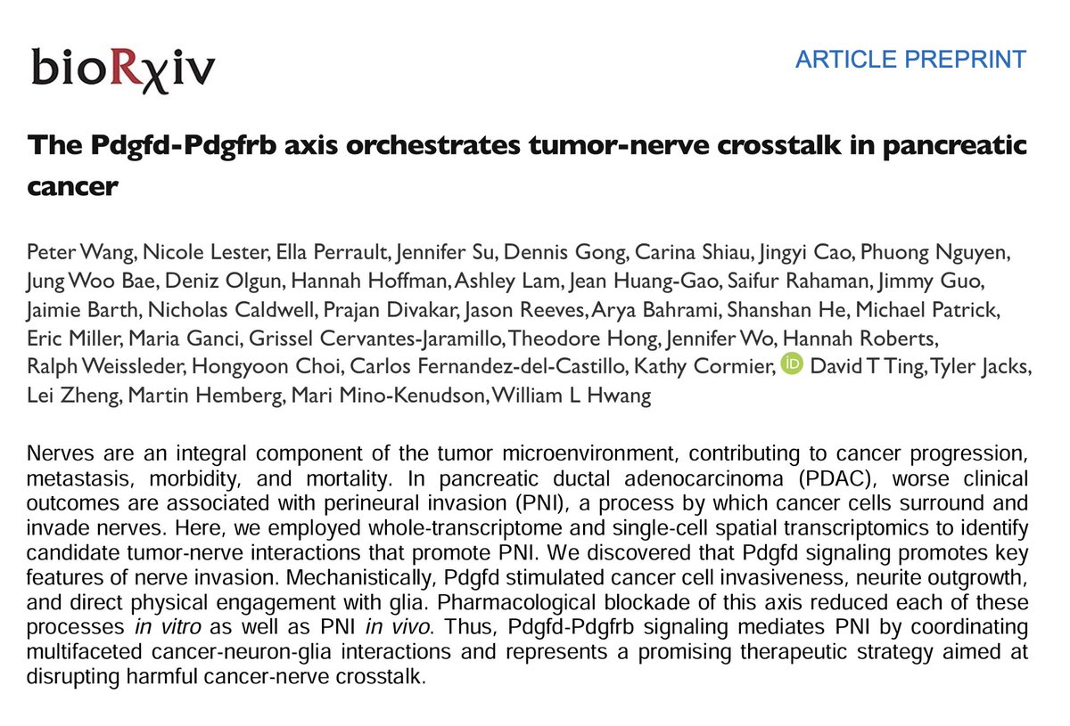 Peter Wang tweet media