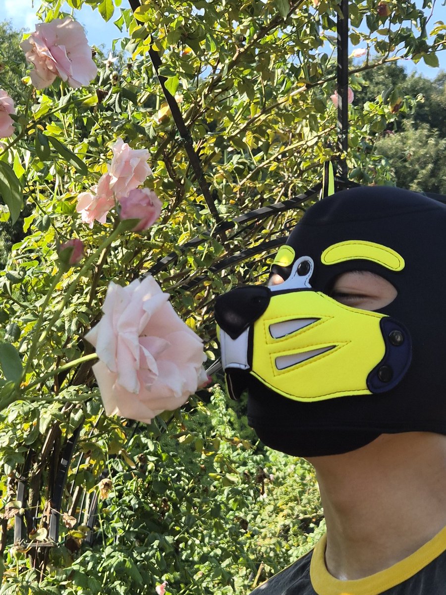 📷:<a href="/nogogo777/">로키</a> 
킁카킁카 
슈우 (<a href="/Schnauzer_99/">슈우</a>)
흔들리는 꽃들속에서 니 샴푸향이 느꺼진고아