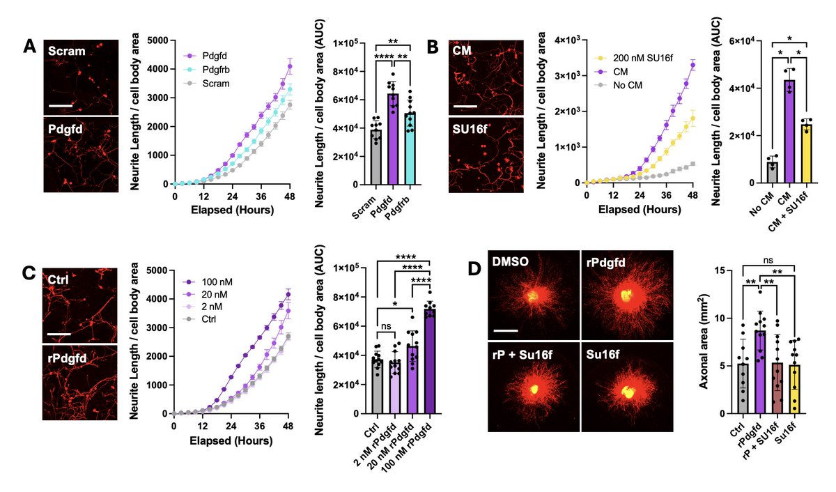 Peter Wang tweet media